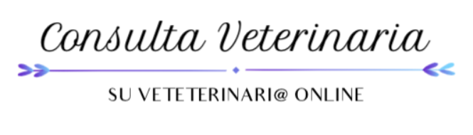 Consulta Veterinaria